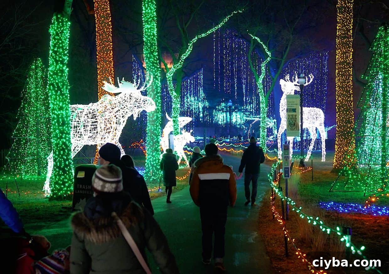 A group of people strolling through a zoo aglow with festive zoo lights.