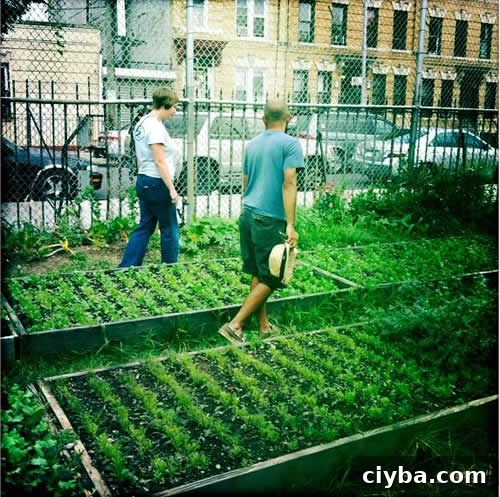 Making Unprocessed Accessible & Locally Grown Through Urban Farming
