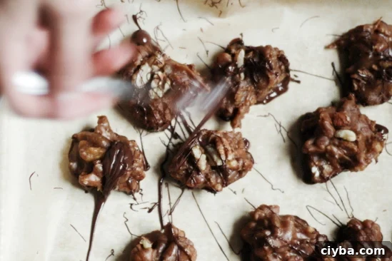 Walnut and Pecan Clusters: Crunchy Nut Candy Recipe 2 Walnut-Pecan Clusters Recipe | sophisticatedgourmet.com