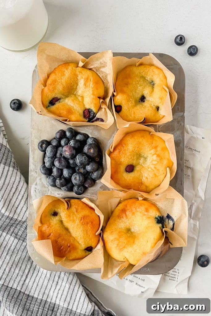 5 blueberry protein muffins baked in parchment liners in silver muffin tin with fresh blueberries filling one of the cups.