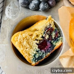 Blueberry Protein Muffins