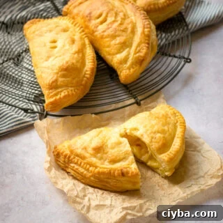 10 Irresistible Vegan Pasty Fillings to Try at Home 4 cheese and onion pasties