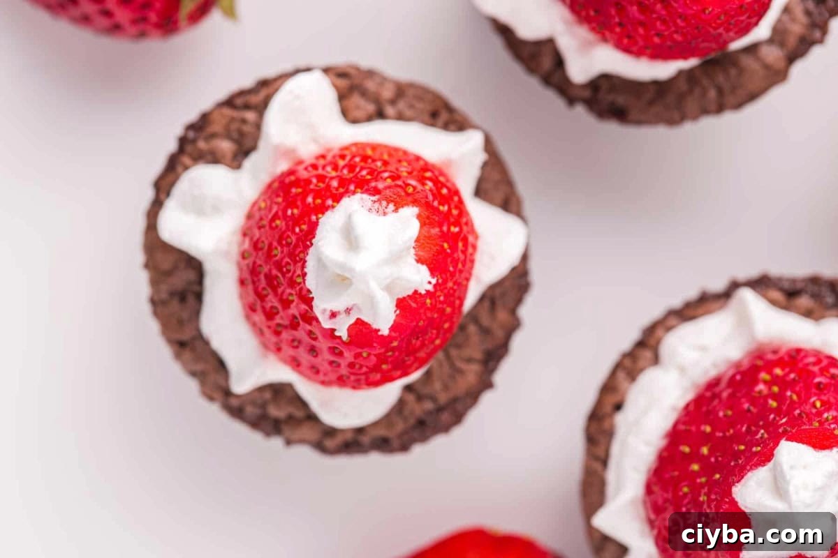 Santa Hat Brownies: Festive Chocolate Holiday Treats 11 overhead view of strawberry santa hat brownie bites.