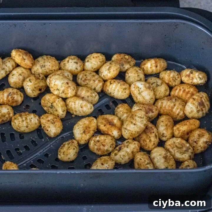 Crispy Air Fryer Gnocchi with Garlic Butter and Parmesan 7 seasoned gnocchi crispy in the air fryer.
