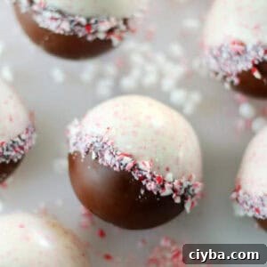 Peppermint hot cocoa bombs.