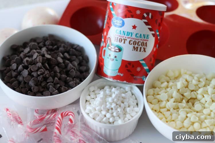 Chocolate chips, white chocolate chips, peppermint hot cocoa mix, candy canes and marshmallows in bowls.