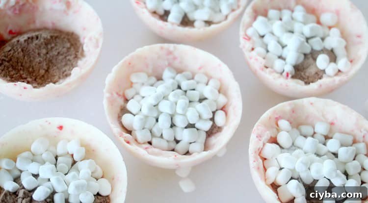 half of hot chocolate bomb filled with cocoa powder and marshmallows