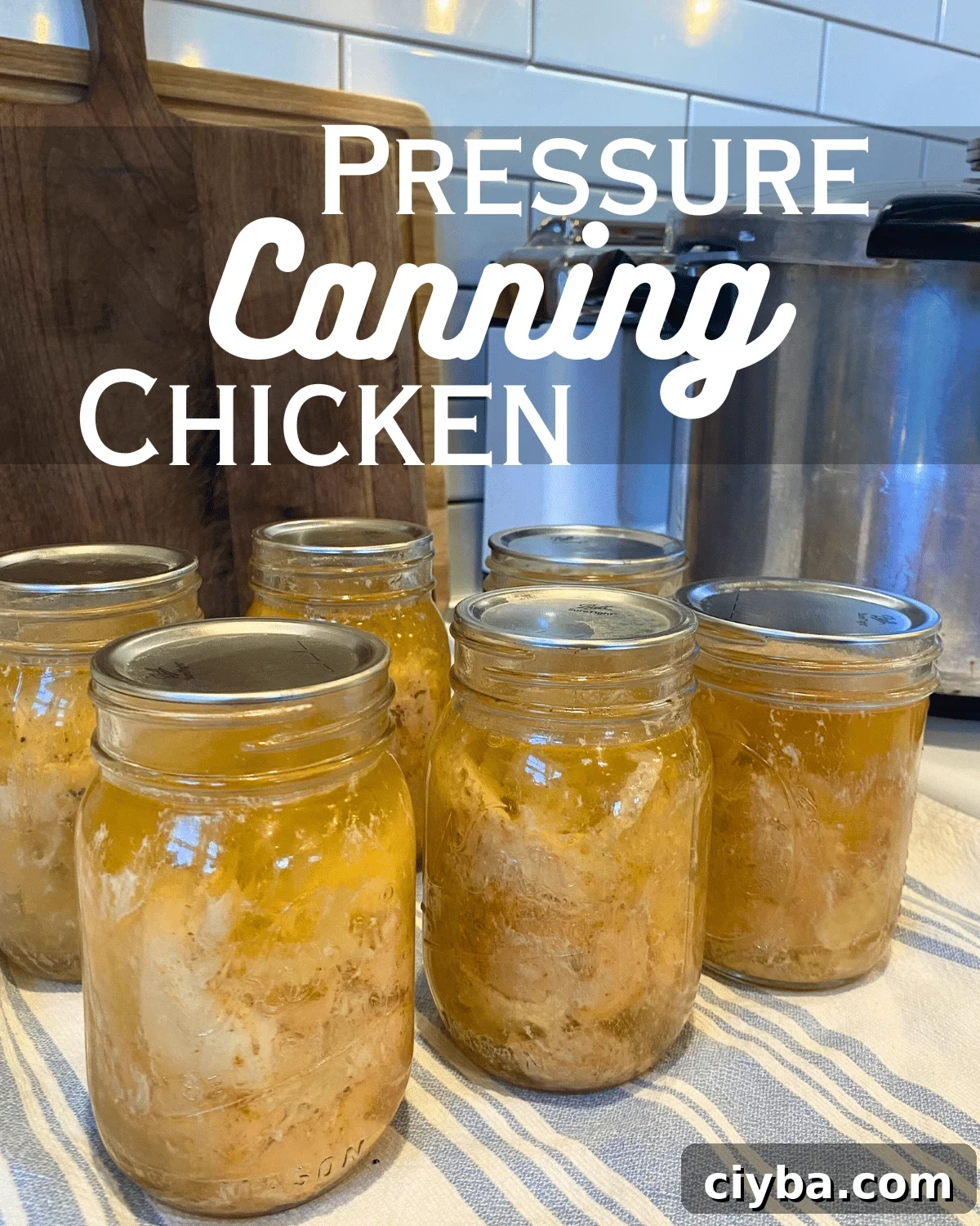 Pressure Canning Chicken: Raw Pack Method and Recipe 2 pressure canned chicken in pint jars on counter by the presto pressure canner with text