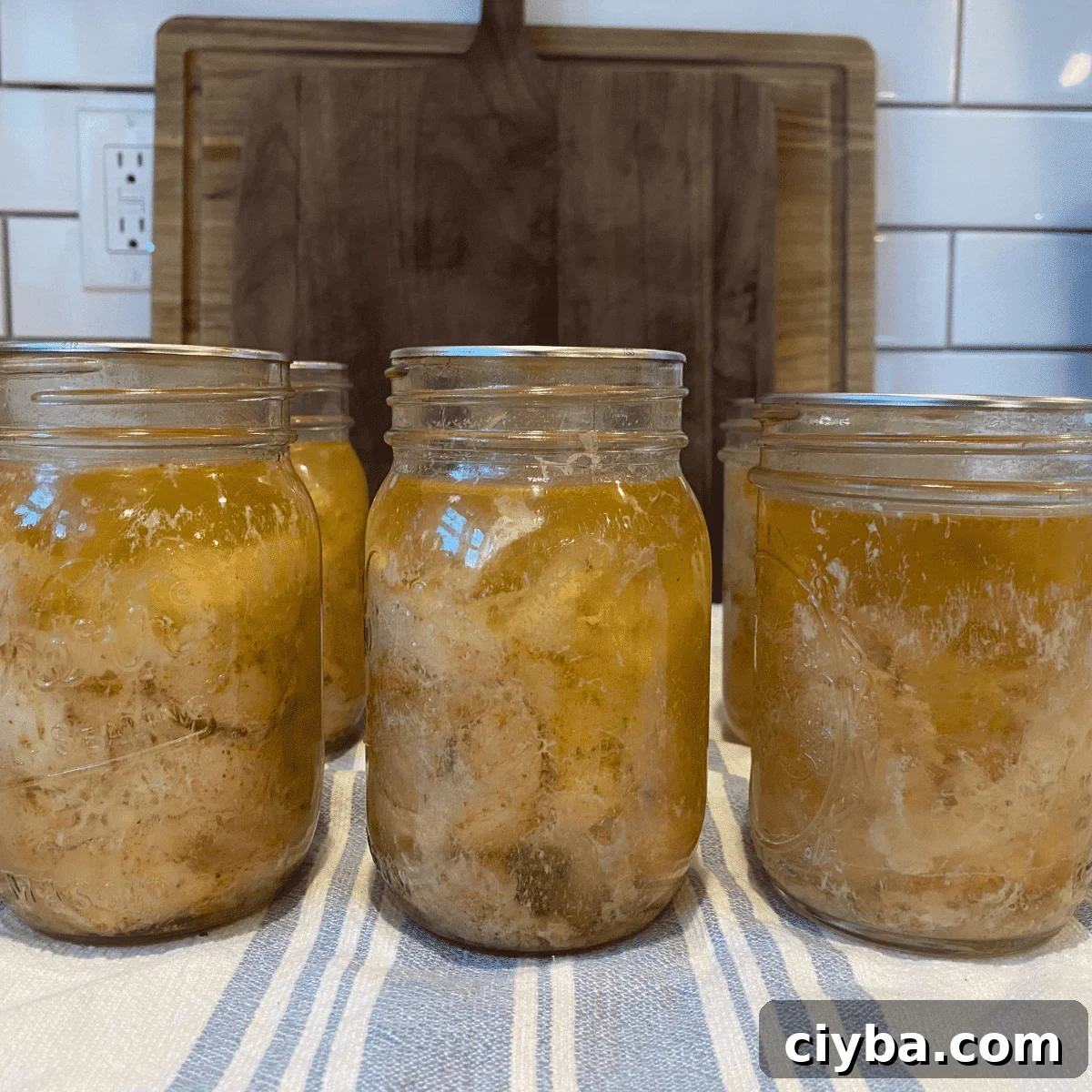 Pressure Canning Chicken: Raw Pack Method and Recipe 3 img 6350 2