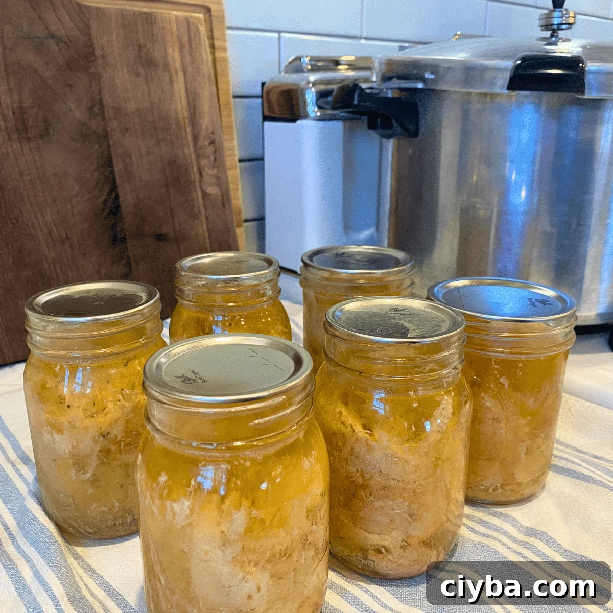 Pressure Canning Chicken: Raw Pack Method and Recipe 5 pressure canned chicken in jars cooling on counter