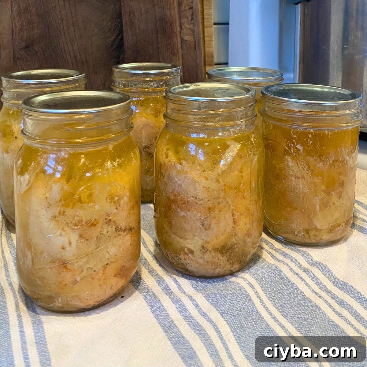Pressure Canning Chicken: Raw Pack Method and Recipe 6 chicken canning recipe in jars cooling on counter by pressure canner