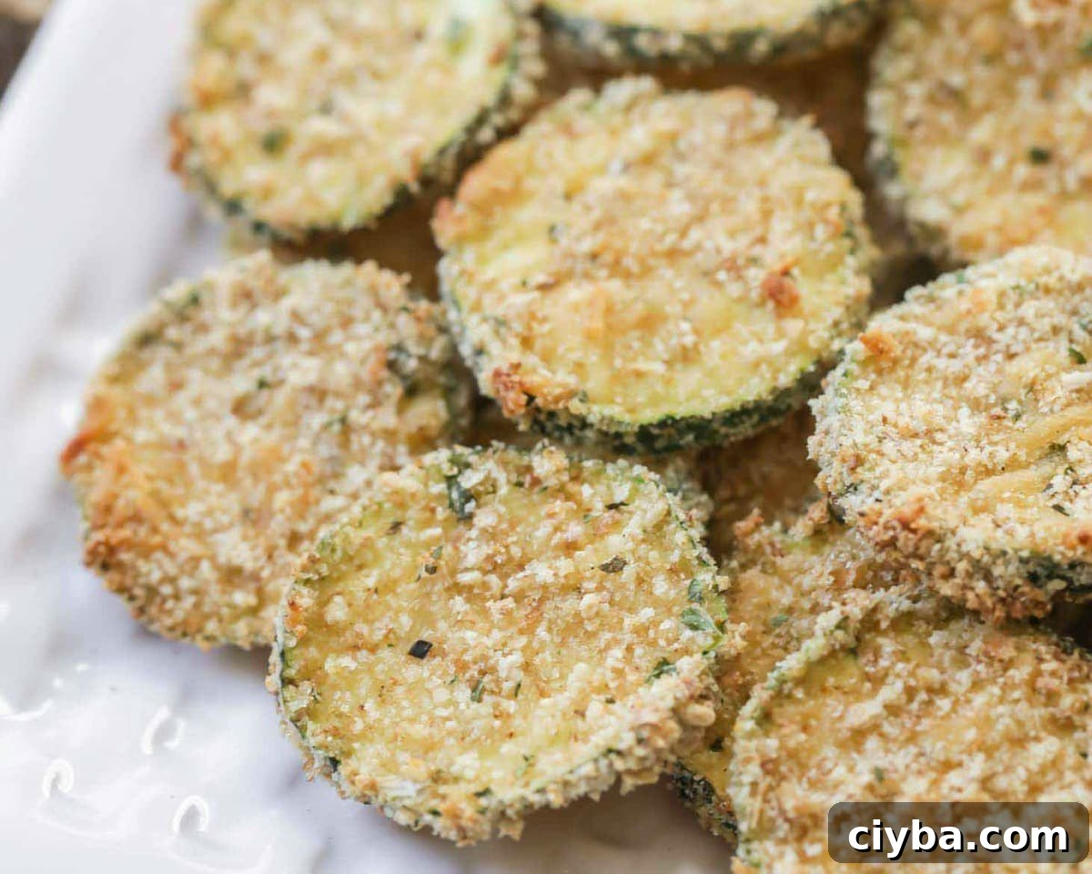Baked Zucchini slices on a plate