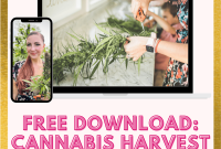 Download the Cannabis Harvest Resource Guide