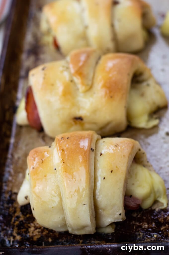 A close up view of baked ham and cheese crescent rolls.