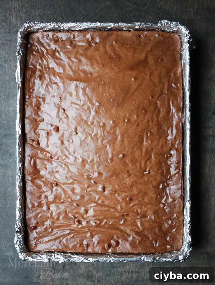 Chewy Peanut Butter Blondie Brownies 8 Top view of baked brownies in a 13x9 baking pan