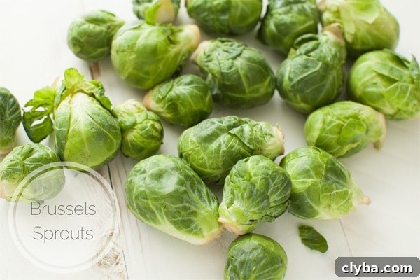 Brussels Sprouts (how to freeze them & cook them) from thelittlekitchen.net Brussels Sprouts (how to freeze them & cook them) from thelittlekitchen.net