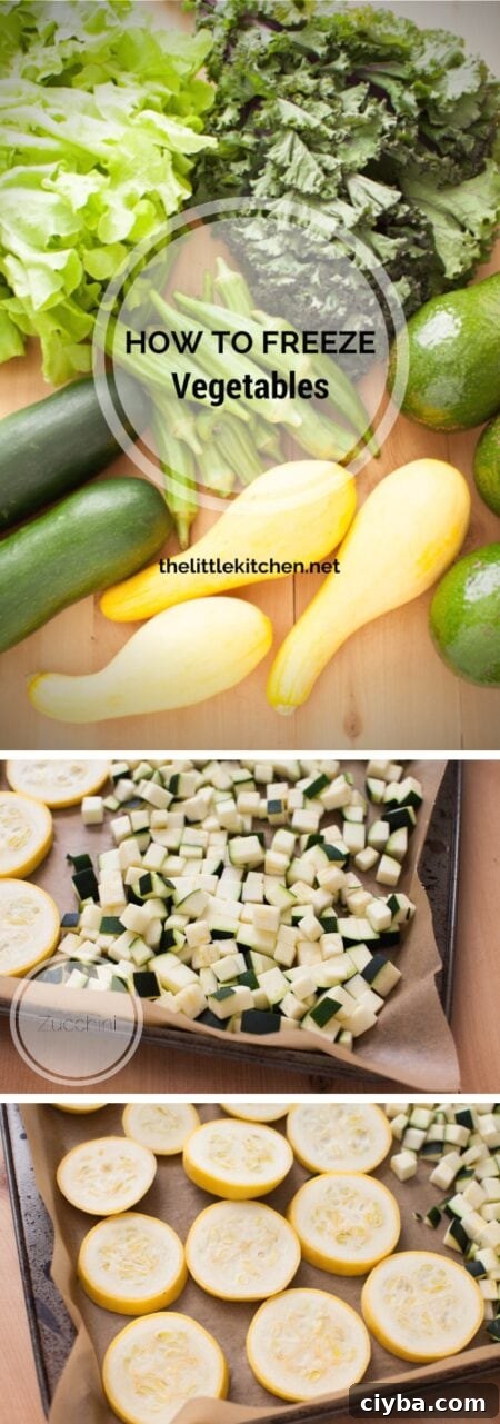 How to Freeze Vegetables from thelittlekitchen.net How to Freeze Vegetables from thelittlekitchen.net