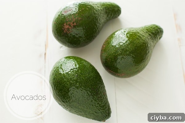 Avocados (how to freeze them & cook them) from thelittlekitchen.net Avocados (how to freeze them & cook them) from thelittlekitchen.net
