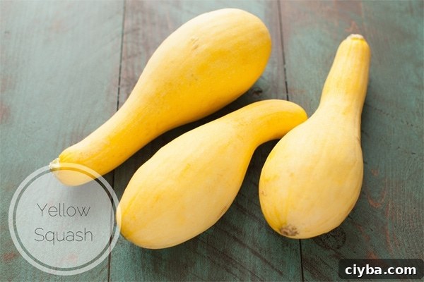 Yellow Squash (how to freeze them & cook them) from thelittlekitchen.net Yellow Squash (how to freeze them & cook them) from thelittlekitchen.net
