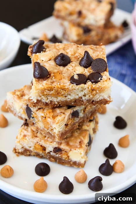 magicbars-18 Magic eight bar with chocolate and butterscotch chips