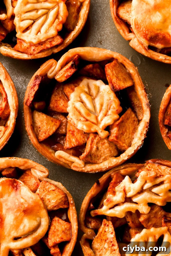 close up of apples pies with leaf designs