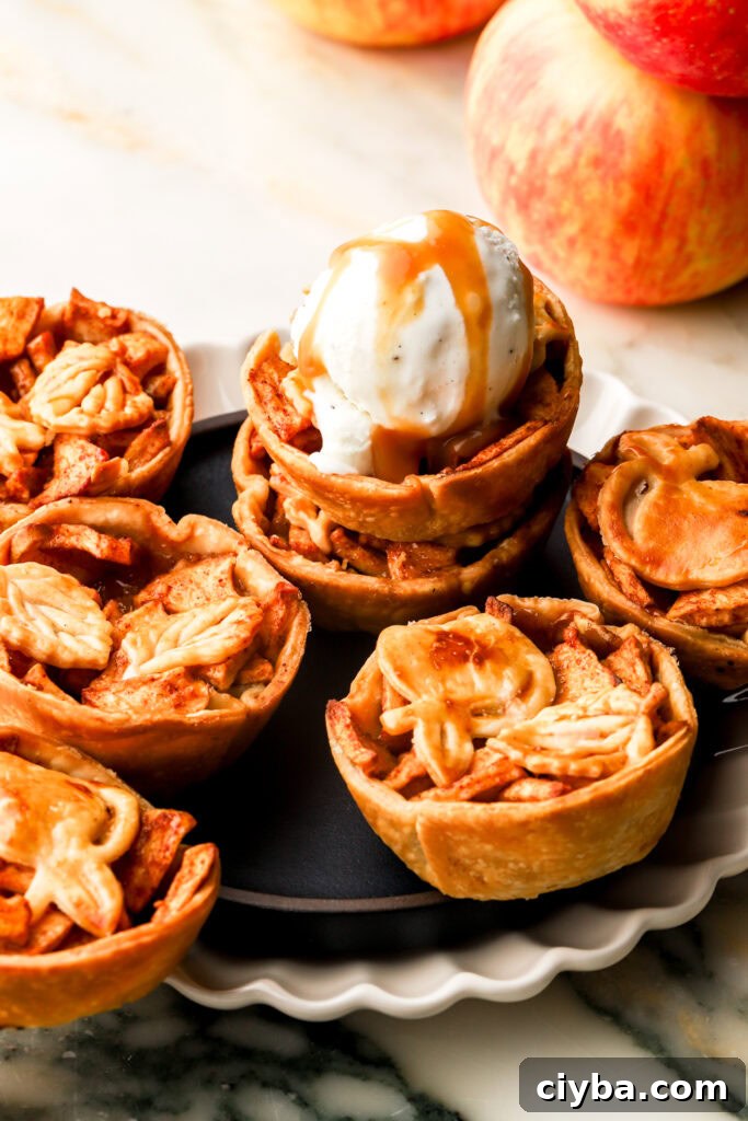 mini apple pies in a plate with ice cream