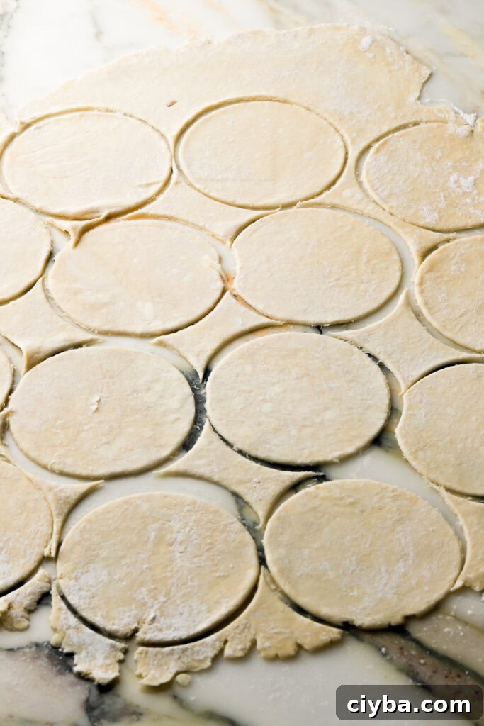 pie dough rolled out with 12 circles cut out