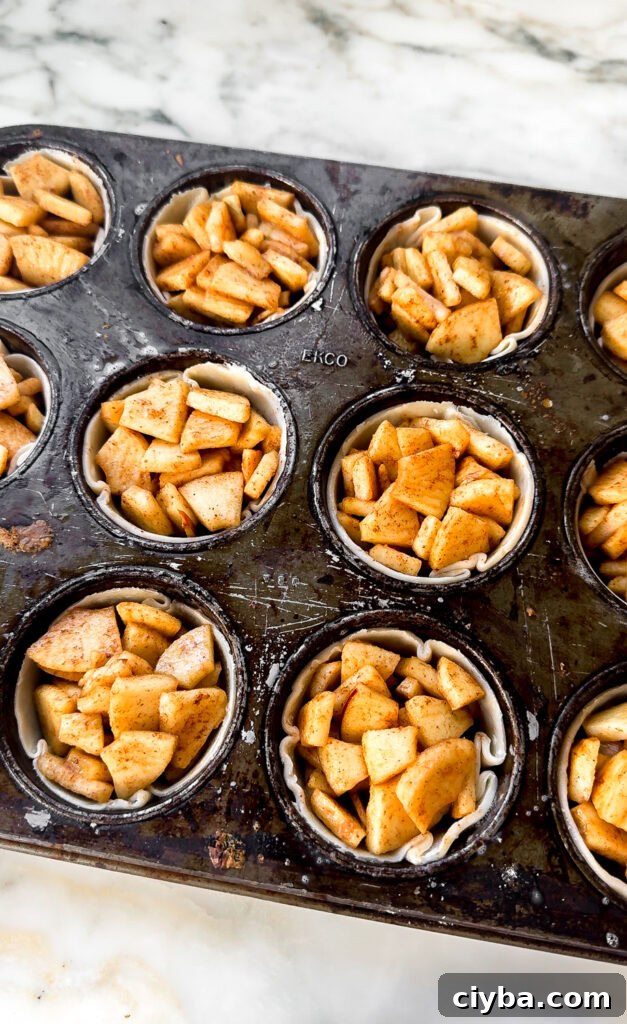 pie dough filled with apples