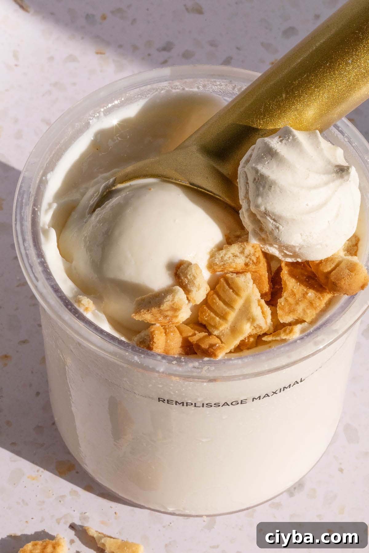 Ninja Creami lemon tart ice cream