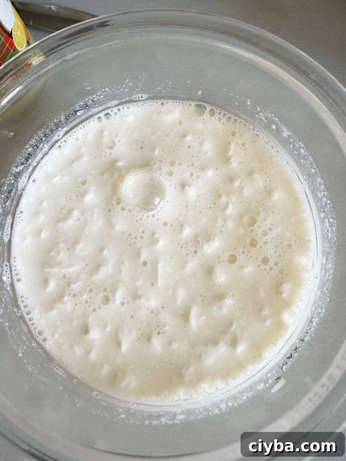 Ninja Creami ingredients mixed together