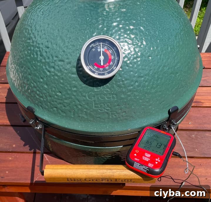 meat thermometer outside a big green egg