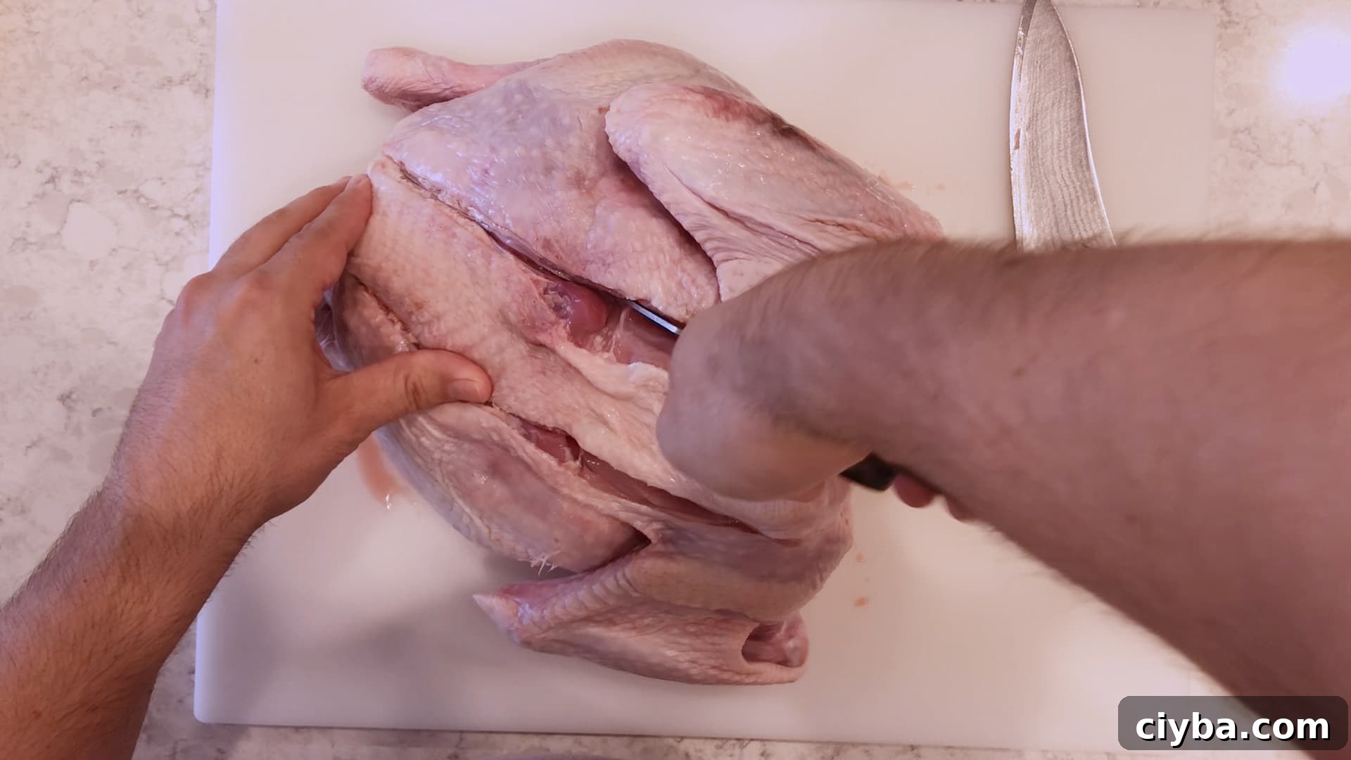 cutting the backbone out of a turkey with kitchen shears