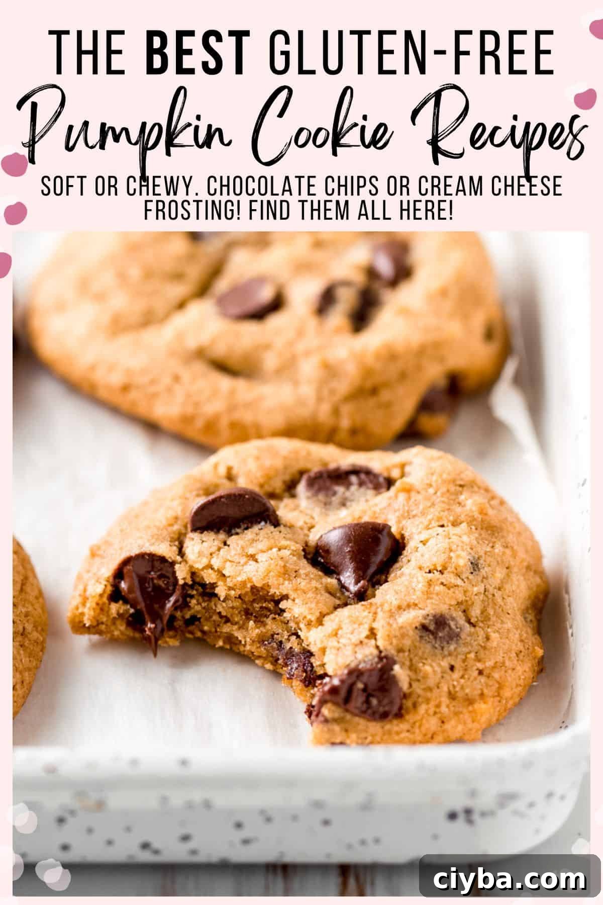 Gluten free pumpkin chocolate chip cookies with bite taken.