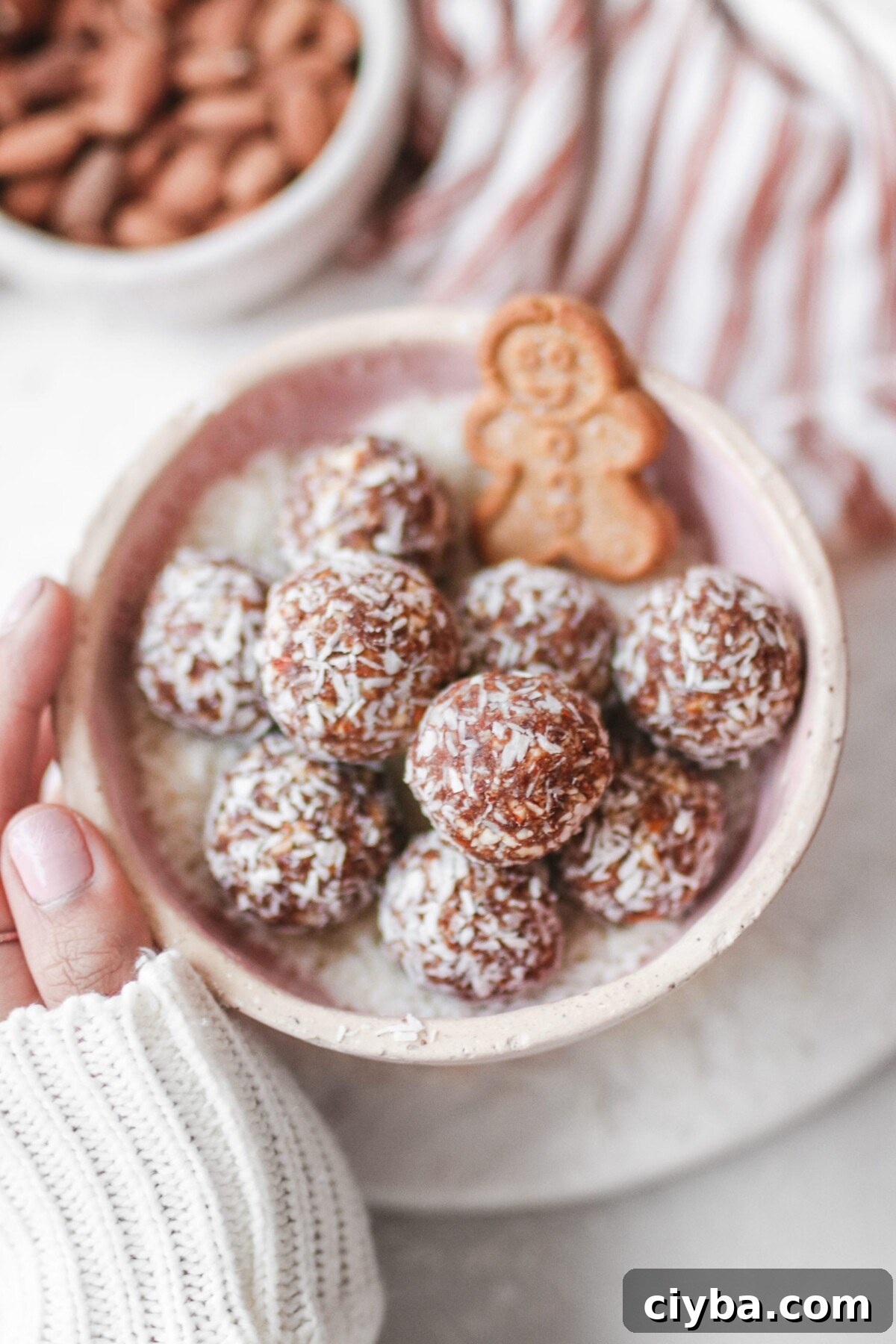 gingerbread bliss balls in a white bowl 