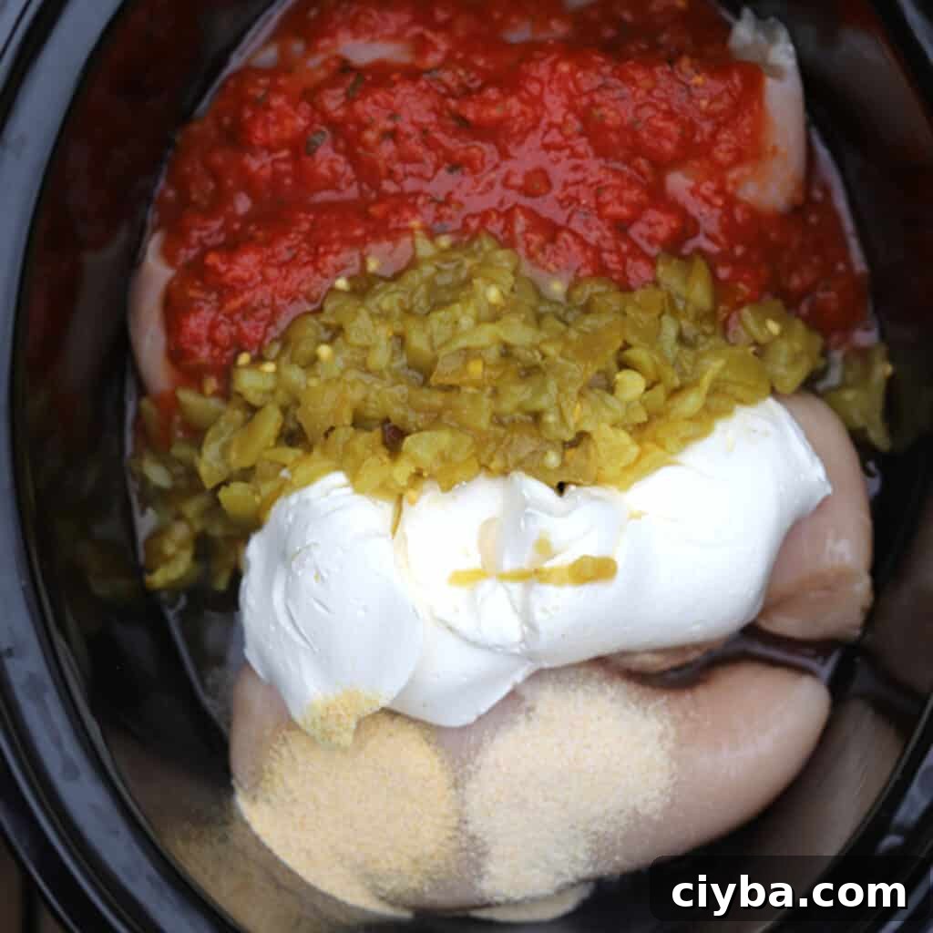 75+ Budget-Friendly Dinner Ideas for Weeknights 10 crock pot salsa chicken ingredients in a slow cooker, easy and cheap dinner ideas.