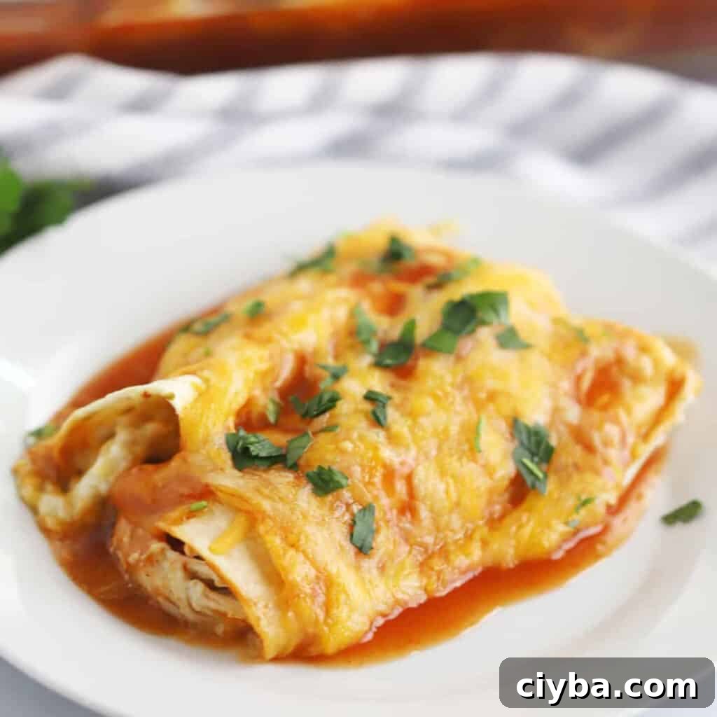 75+ Budget-Friendly Dinner Ideas for Weeknights 4 easy red chicken enchilada recipe, cheap and quick dinner ideas, cheap recipes.