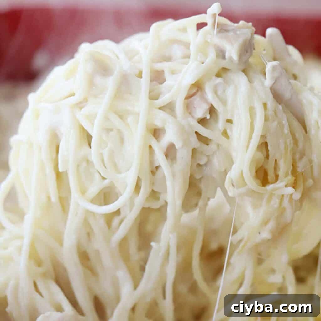 75+ Budget-Friendly Dinner Ideas for Weeknights 5 chicken spaghetti recipe, easy cheap meals, cheap quick dinner ideas.