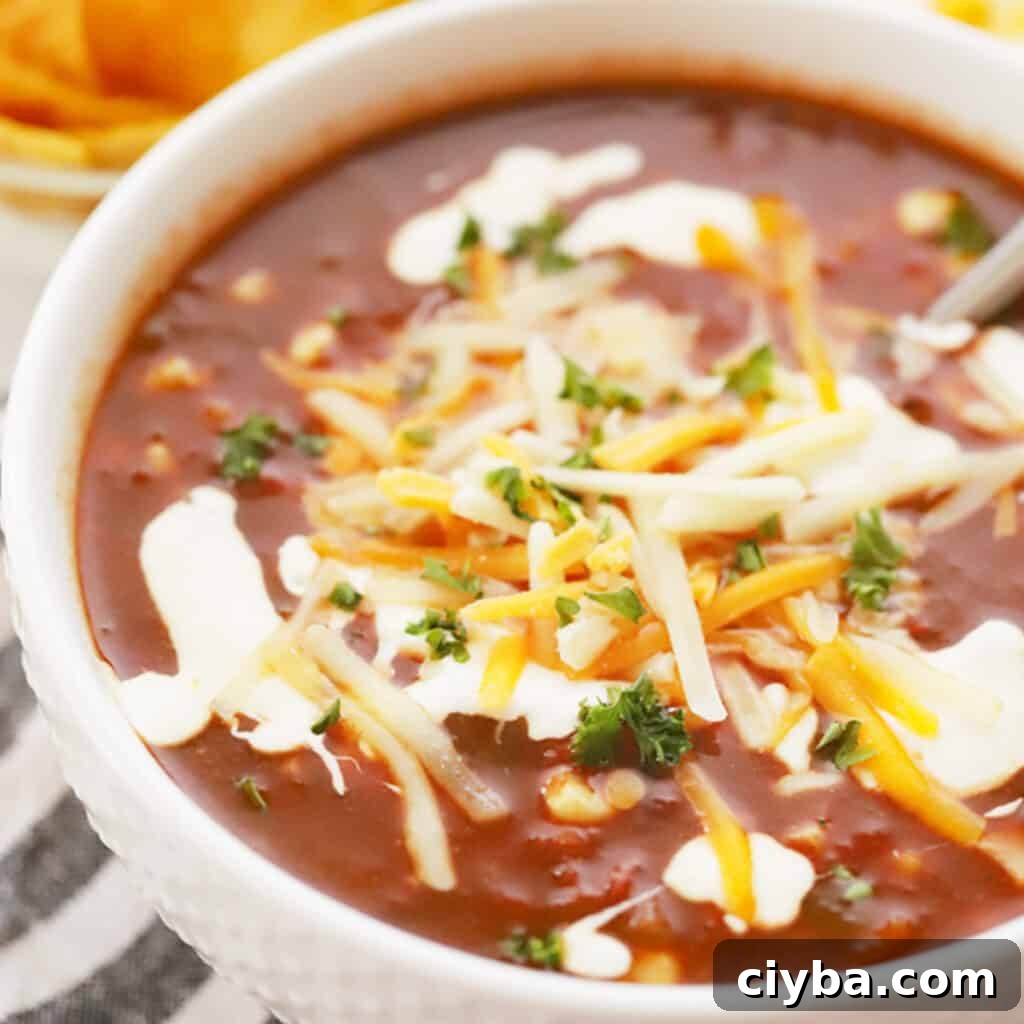 75+ Budget-Friendly Dinner Ideas for Weeknights 20 southwest black bean soup recipe, southwest soup.