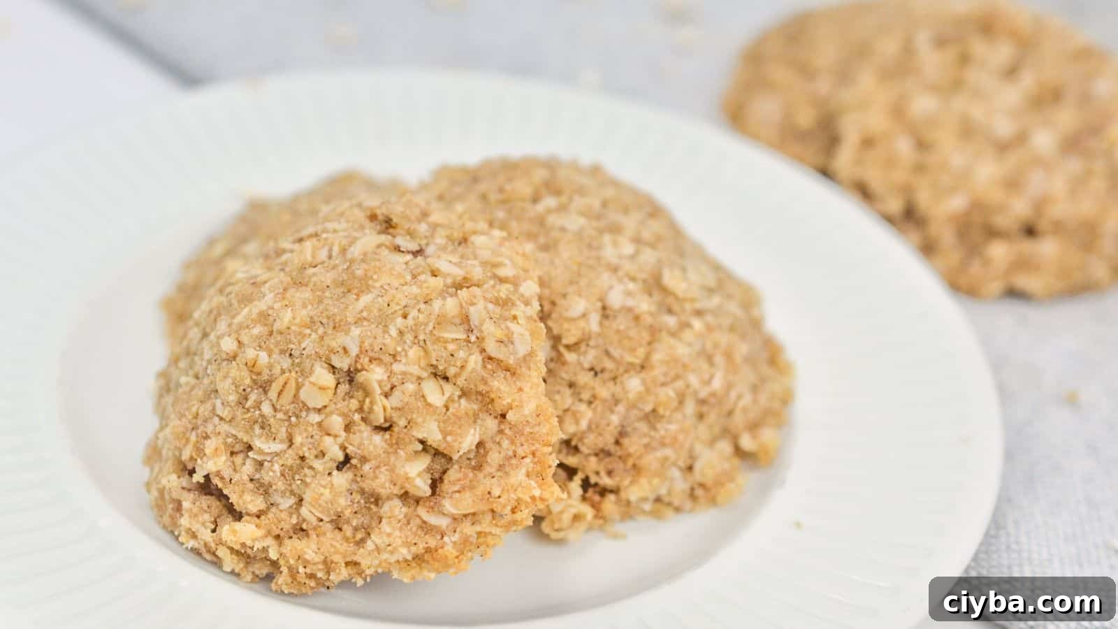 Two oatmeal cookies on a white plate, with a crumbly texture and visible oats, displayed on a light-colored tablecloth.