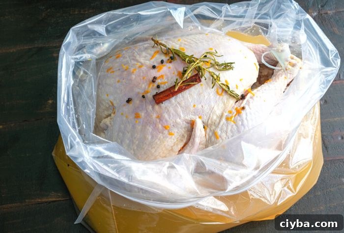 smoked turkey brine