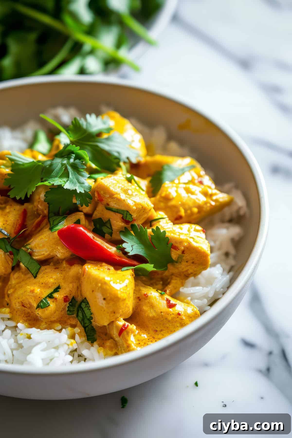 Easy Thai yellow chicken curry with rice and vegetables.