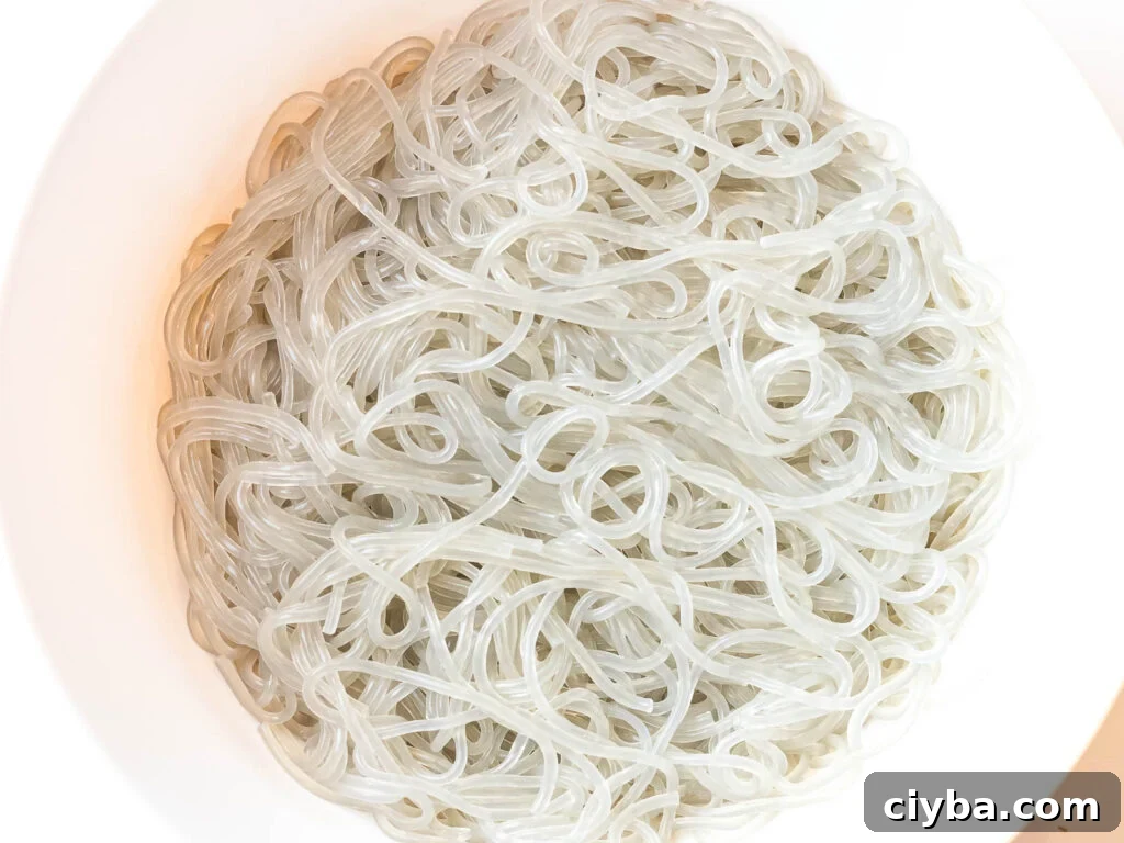 Authentic Japchae: Korean Glass Noodle Stir Fry Recipe 6 cooked japchae nooldes; Korean glass noodles