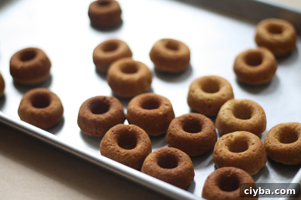 mini toasted coconut banana bread (baked) doughnuts via butter me up, Brooklyn! 1