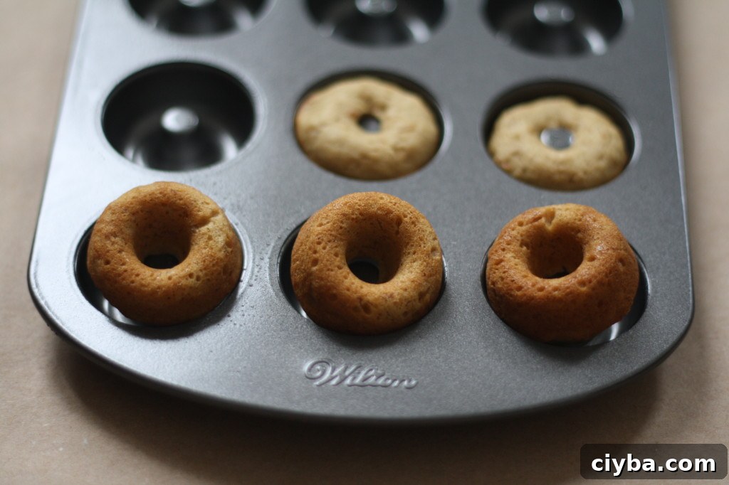 mini toasted coconut banana bread (baked) doughnuts via butter me up, Brooklyn! 3