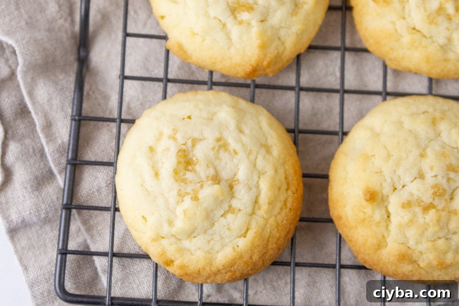 Cookies on a wire rack.