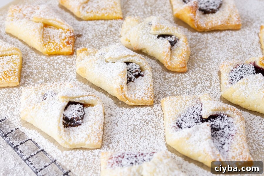 cookies covered in powdered sugar on a wire baking rack.