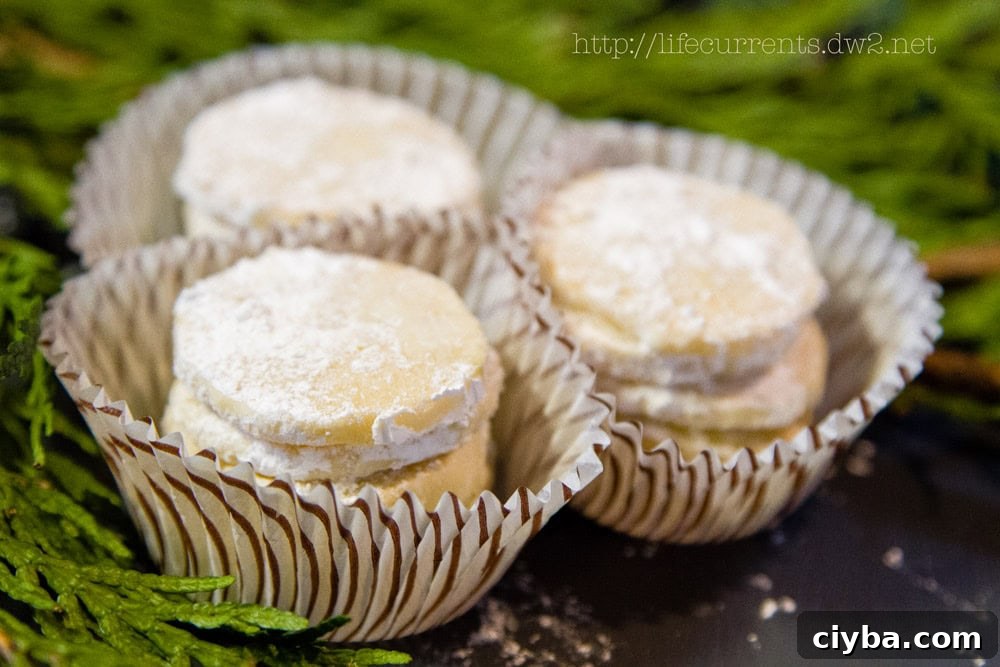 Lime Meltaway Cookies | Life Currents https://lifecurrentsblog.com