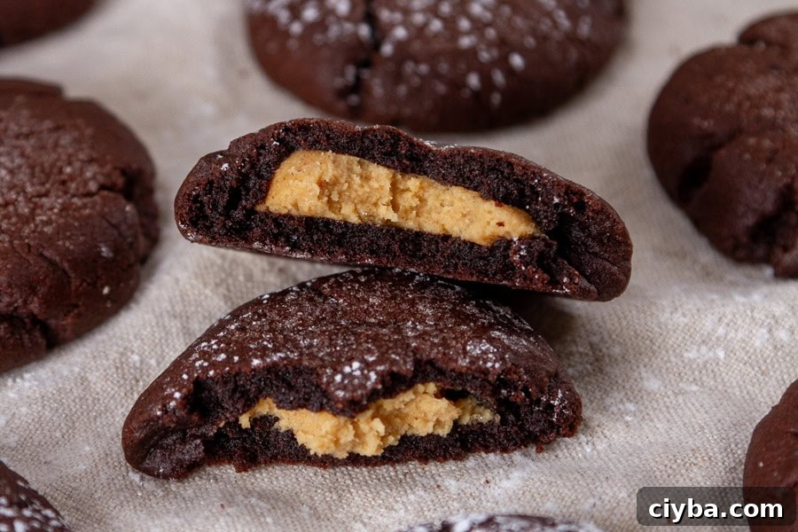 horizontal crop of a cookie broken in half on a cloth napkin.