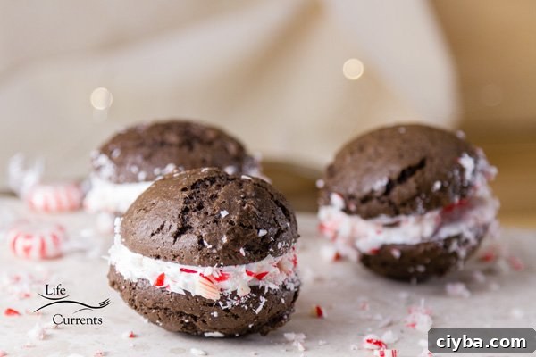 Make Peppermint Brownie Sandwich Cookies for the cookie exchange and you’ll surely win top prize.