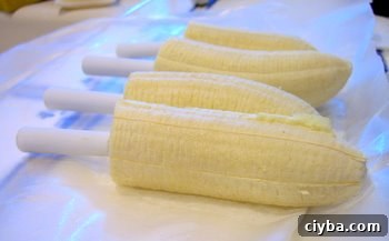Crunchy Frozen Banana Pops Recipe 4 frozen bananas